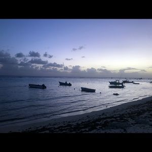 Meet your Posher, Liane